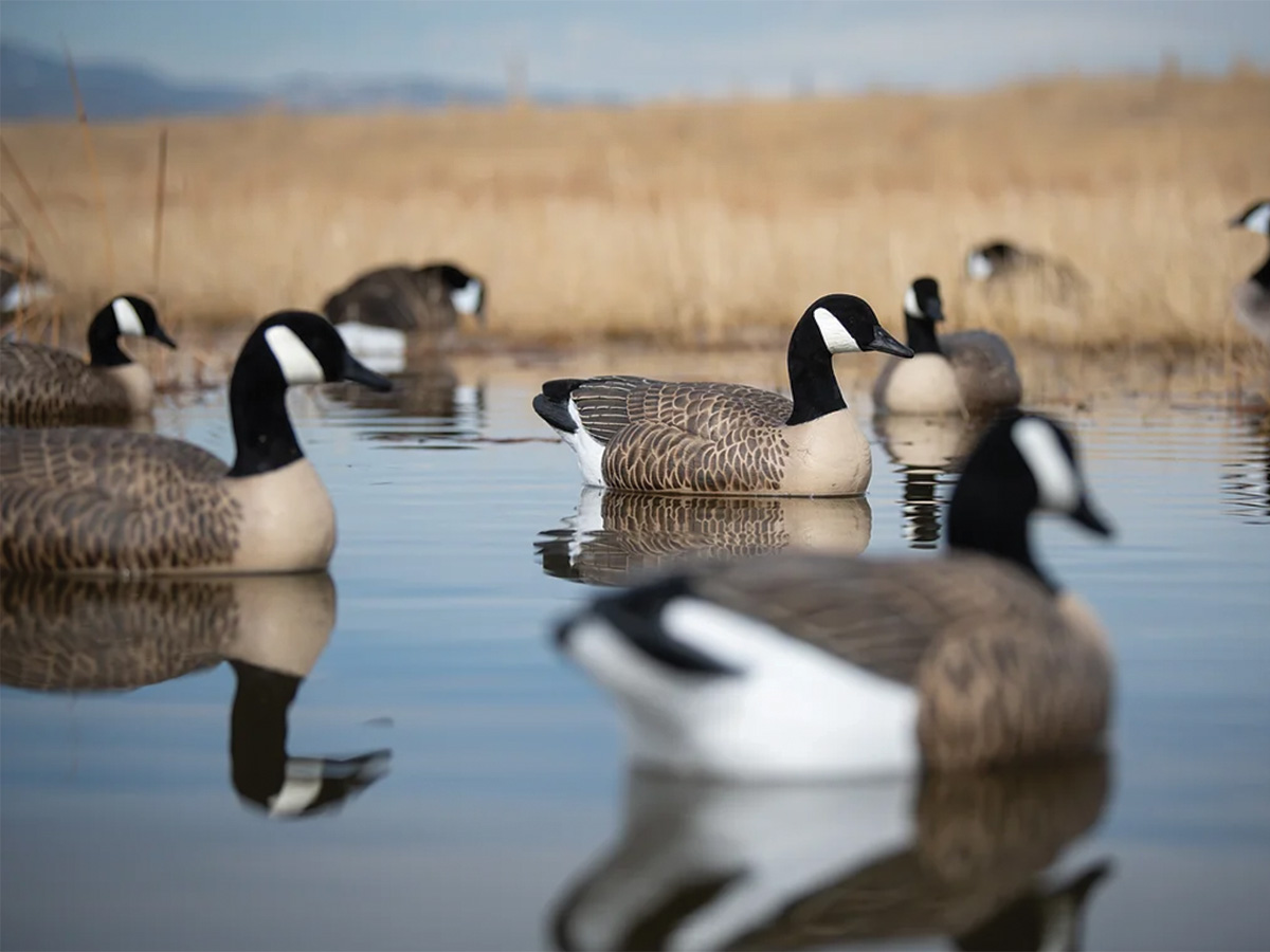 Mean Machines Ducks Unlimited